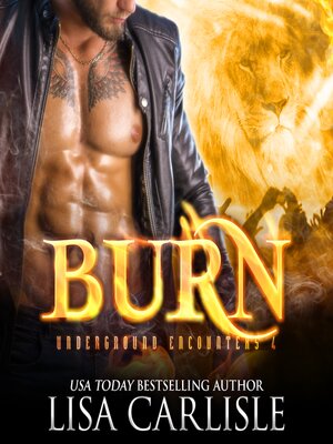 cover image of BURN
